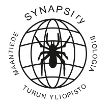 Synapsi ry:n logo. Sisältää karttapallon kehikon ja hämähäkin.
